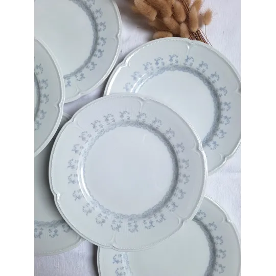 Assiettes plates porcelaine de Limoges