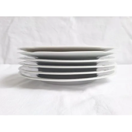 Assiettes plates porcelaine de Limoges