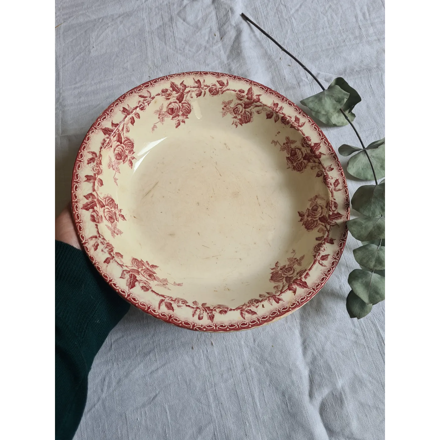 Plat rose terre de fer rose