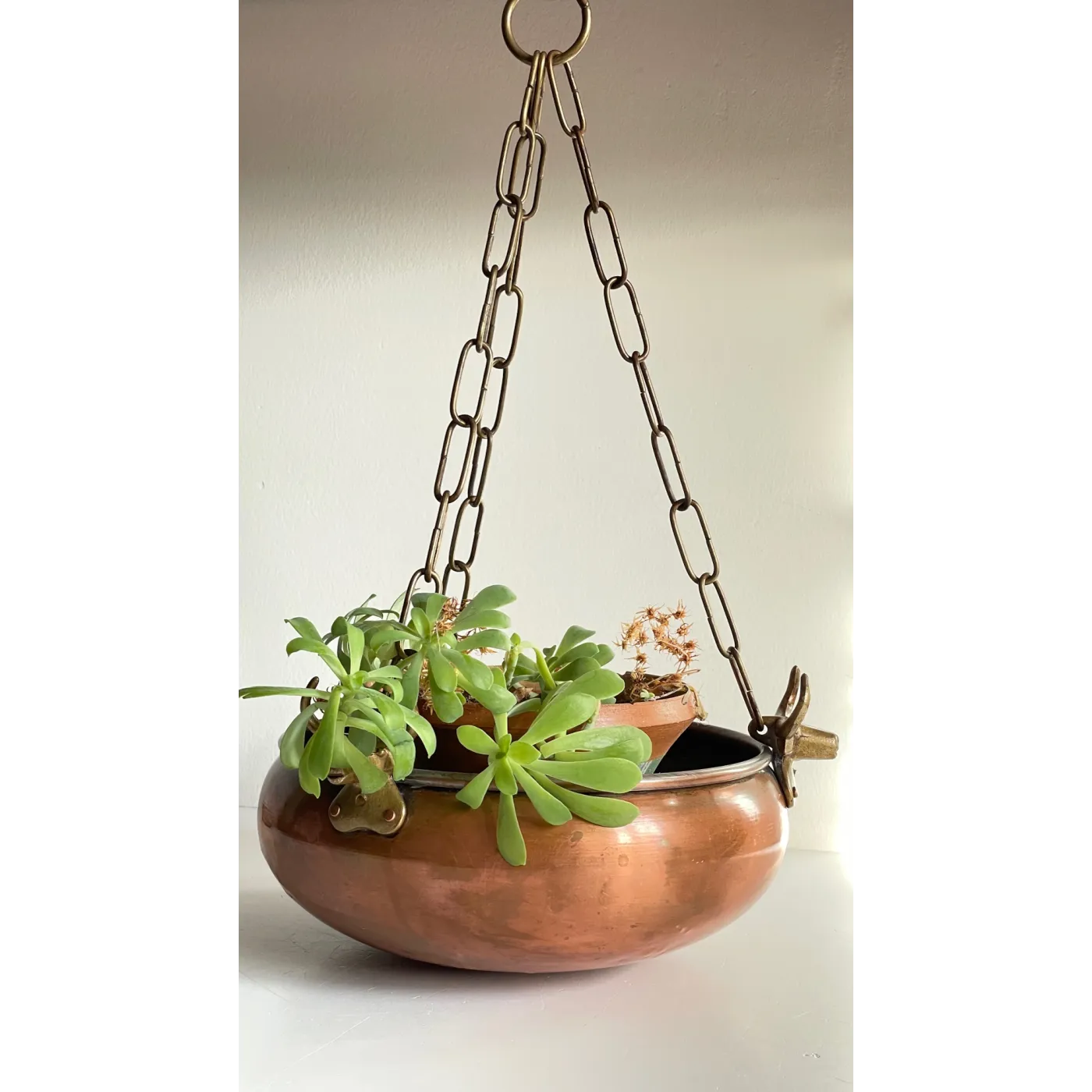 Cache-pot suspendu aux 3 buffles vintage