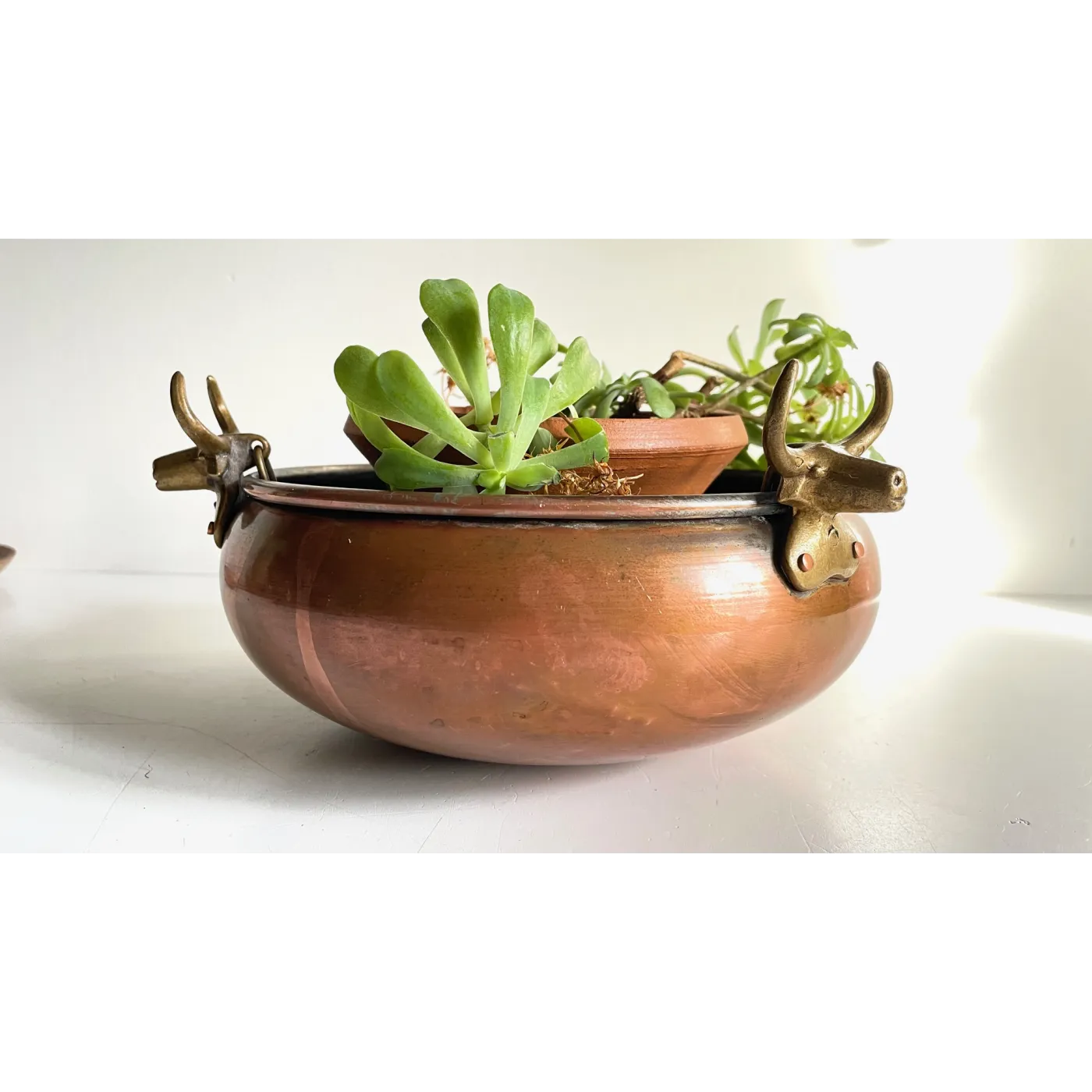 Cache-pot suspendu aux 3 buffles vintage