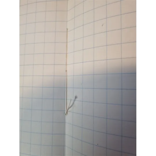 Lot de 3 anciens cahiers d'écolier