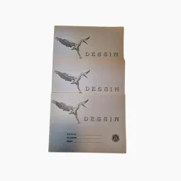 Lot de 3 anciens cahiers d'écolier