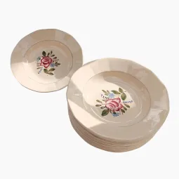 12 assiettes creuses Digoin