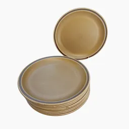 9 assiettes plates en grès Sarreguemines