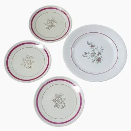 Assiettes et plat Salins